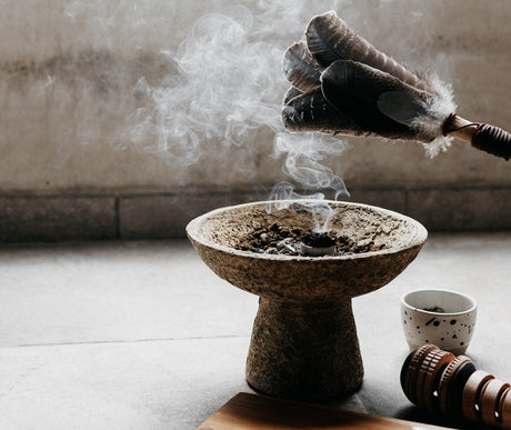 Fumigation â§ Coupes et Supports