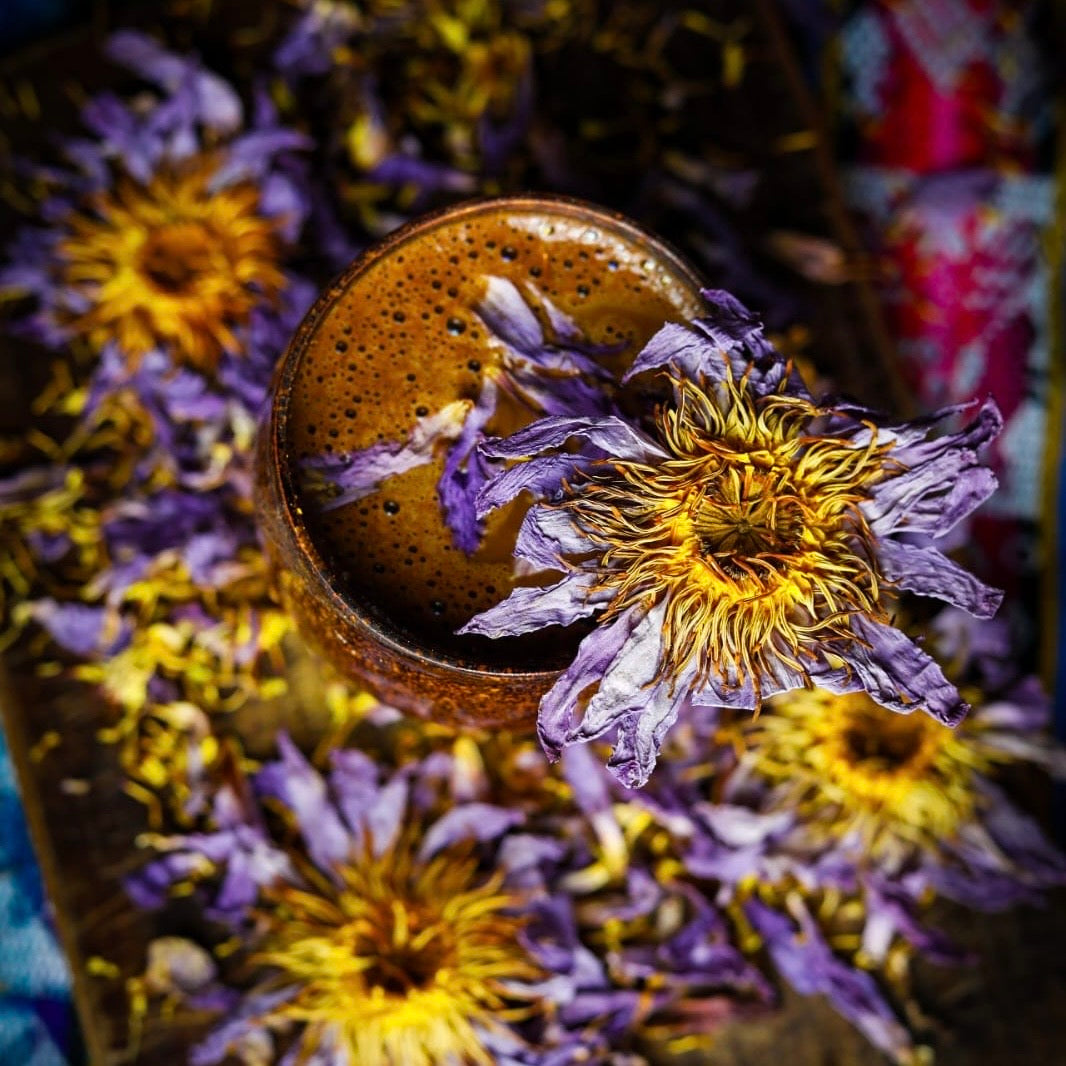 ✧ Pétale de Fleur de Lotus Bleu