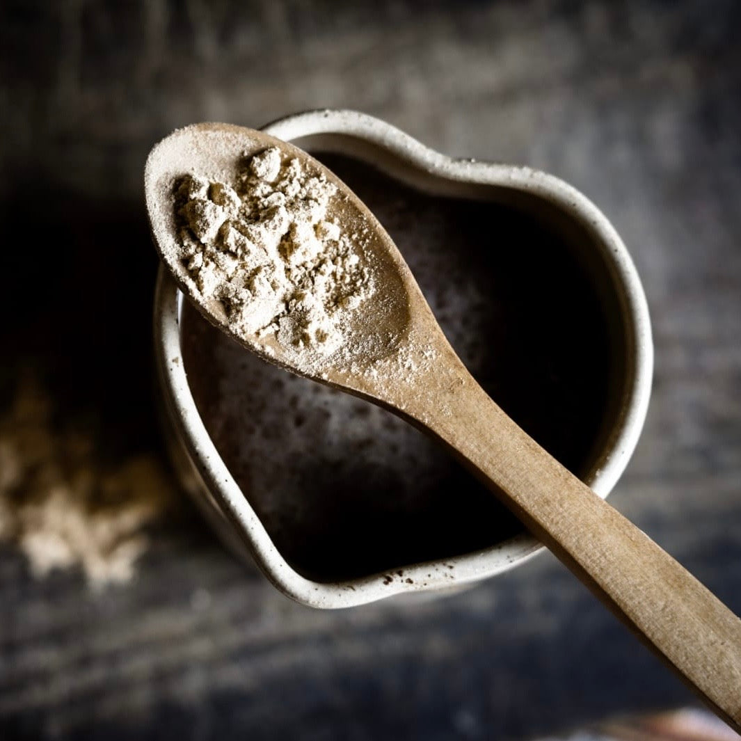 ✧ Crinière de Lion