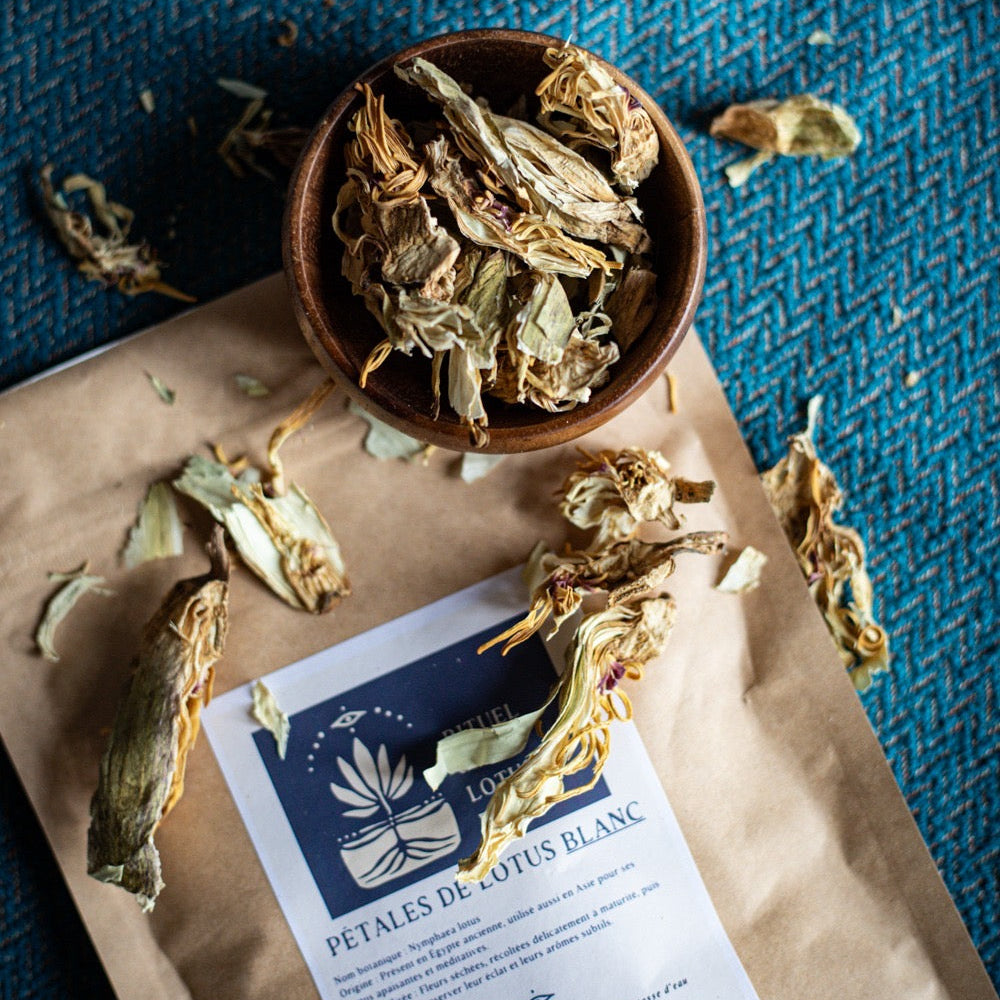 ✧ Pétale de Fleur de Lotus Blanc