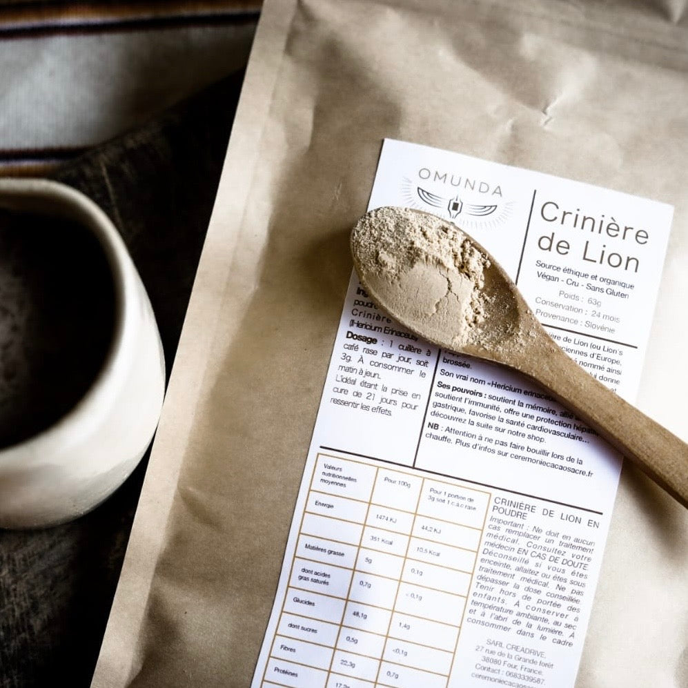 ✧ Crinière de Lion