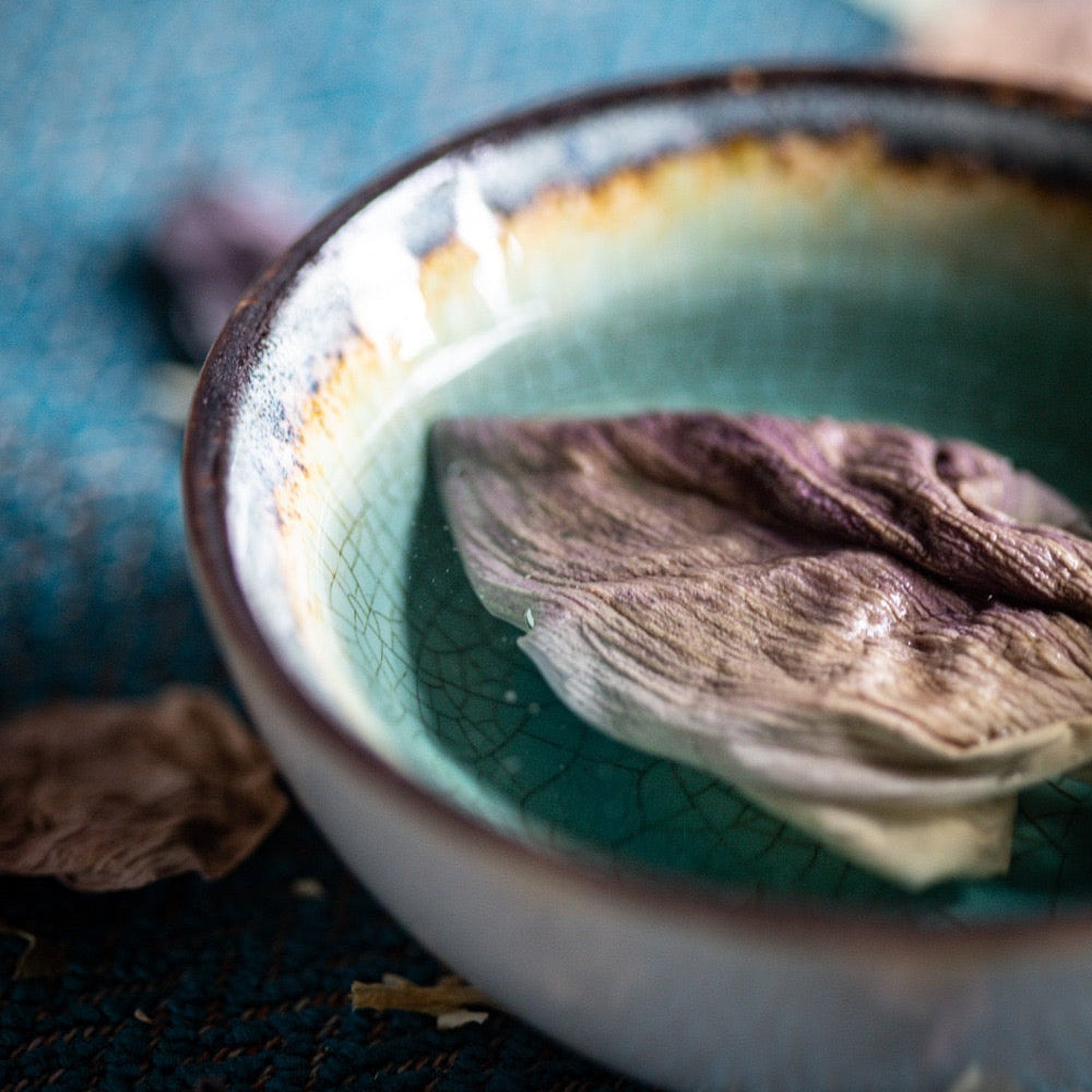 ✧ Pétale de Fleur de Lotus Rose