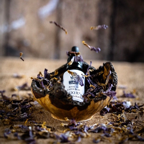 Elixir de Lotus Bleu (Teinture d'extrait de Lotus Bleu)