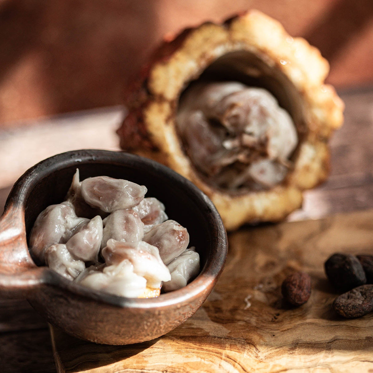 Parcours đ Les 4 Voies du Cacao