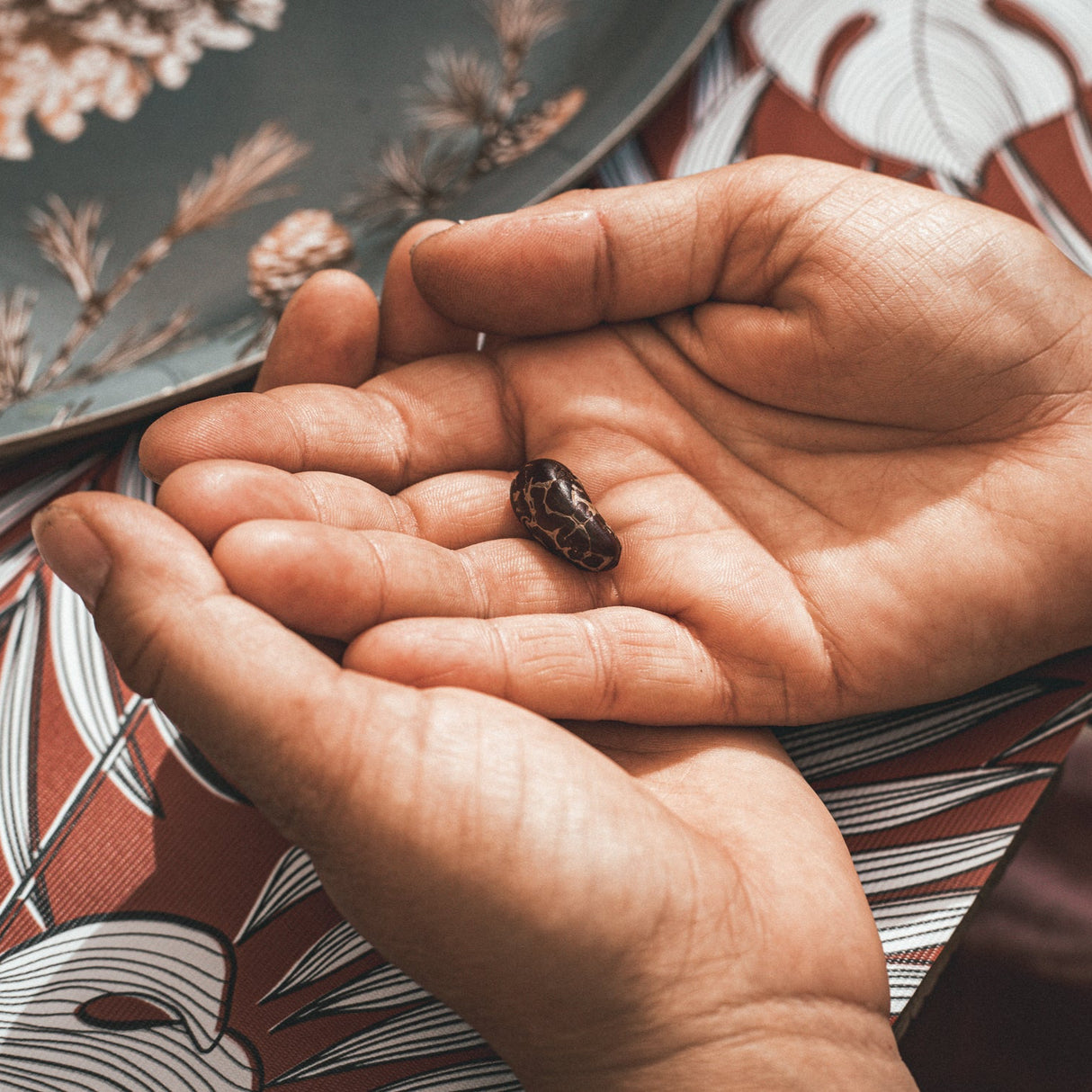 Parcours "Cacao et Psychogénéalogie" (en individuel)