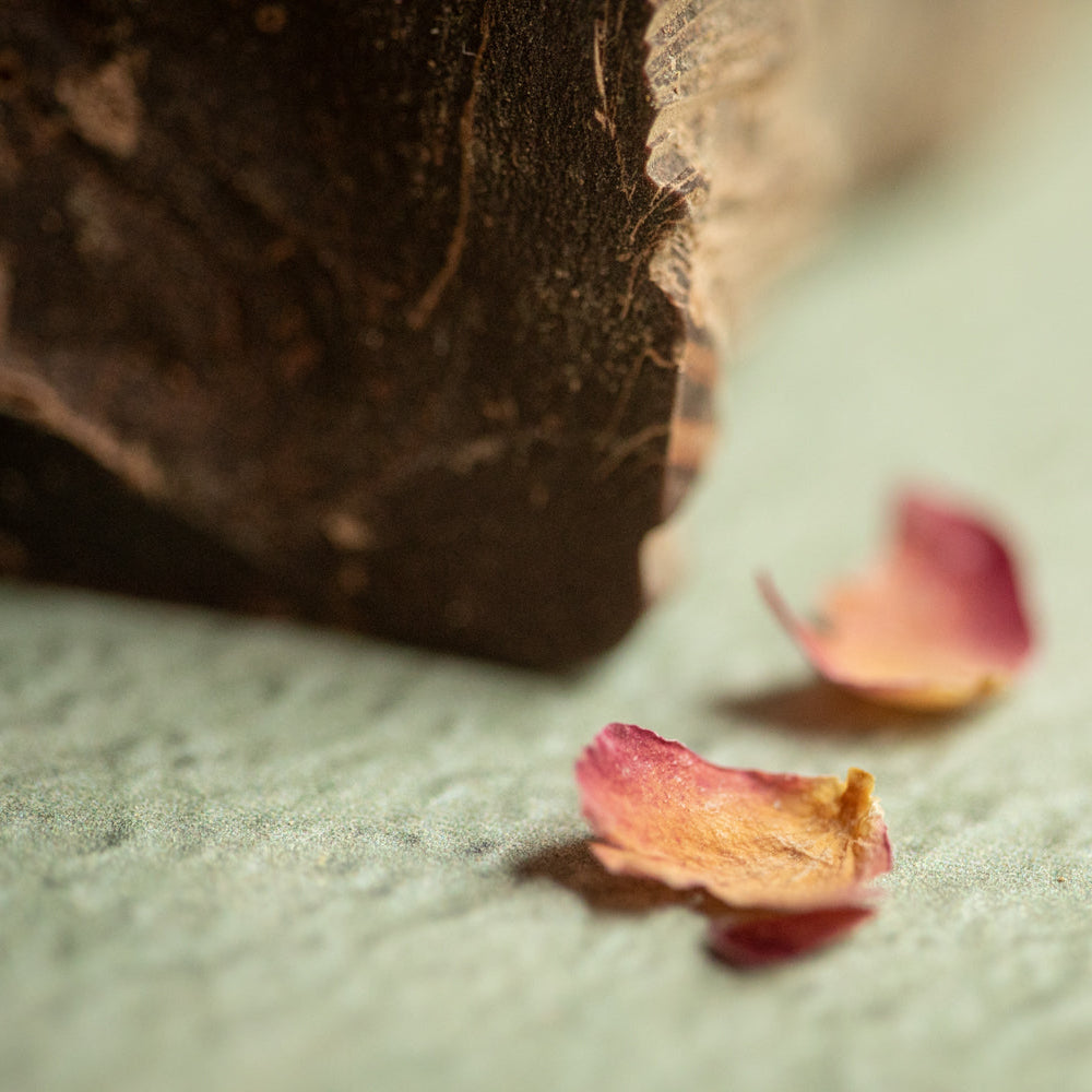 Coffret "Mon 1er rituel Cacao et Rose"