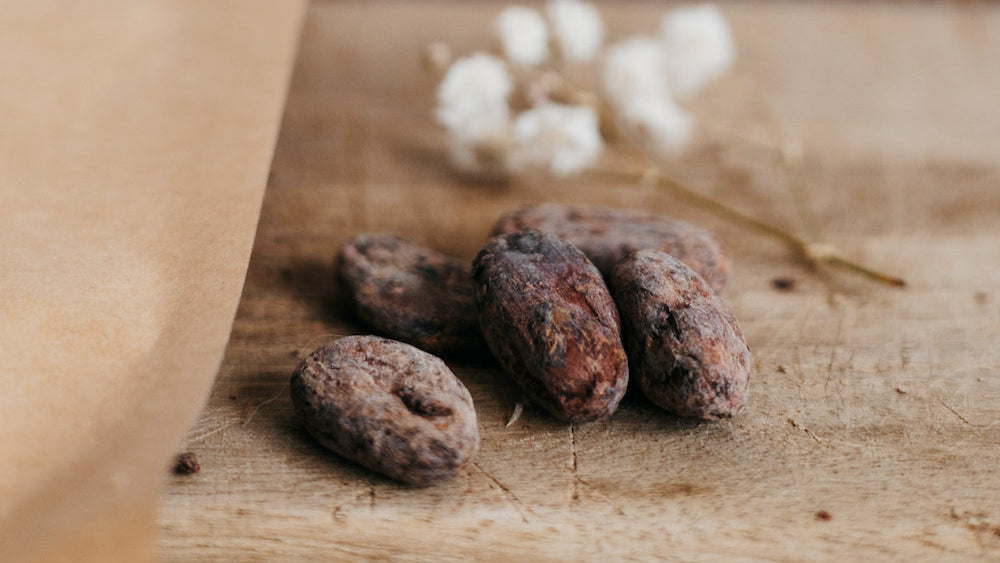 Trinitario ◉ Fèves Cacao ♡ Venezuela