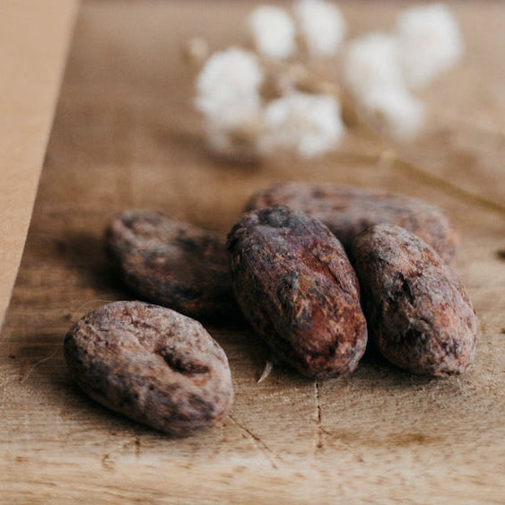 Trinitario ◉ Fèves Cacao ♡ Venezuela