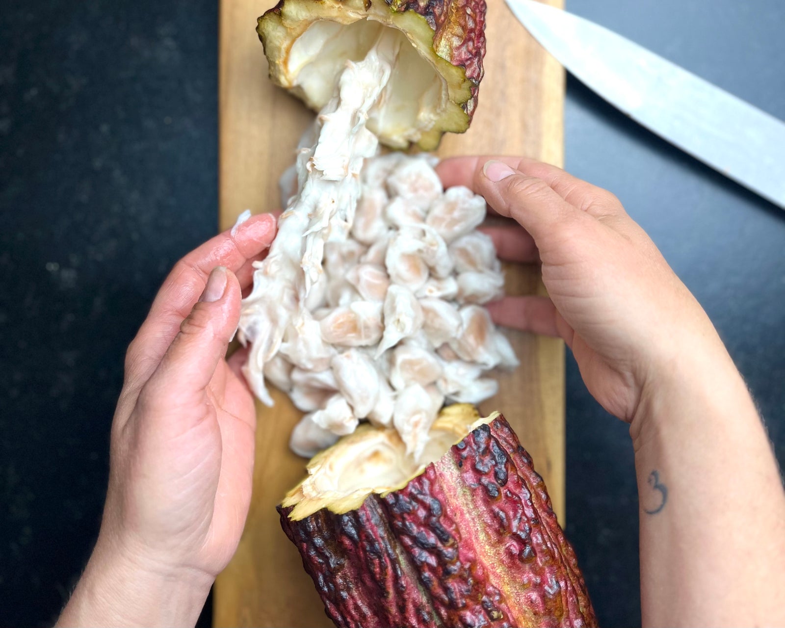 Cacao du Pérou