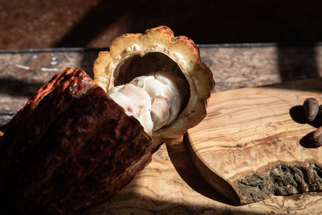 Cadmium dans le cacao : origine, réglementation européenne et ce qu'il faut savoir
