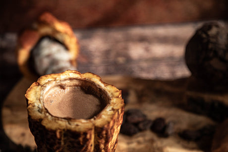 Cérémonie du Cacao Sacré : une Expérience Spirituelle de Connexion à la Nature et au Vivant