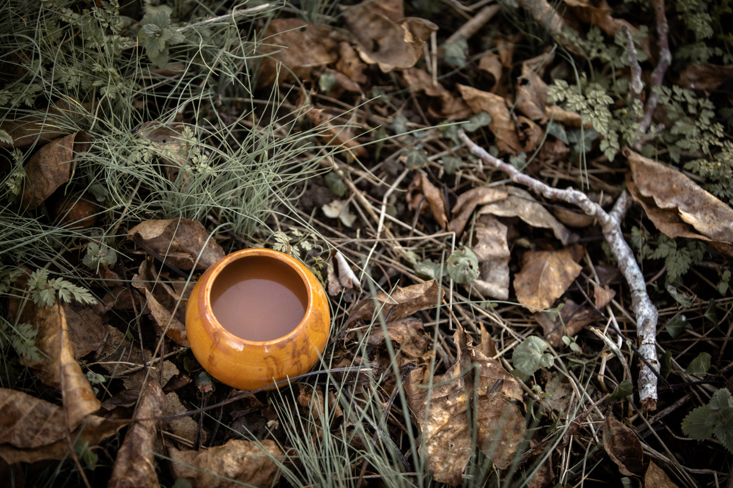 Renouer avec l’âme du Cacao : une invitation à l’écoute