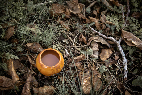 Renouer avec l’âme du Cacao : une invitation à l’écoute