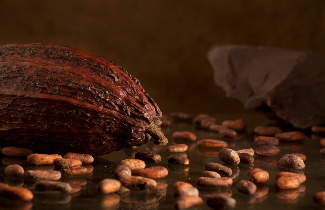 Les énergies de nos Cacaos