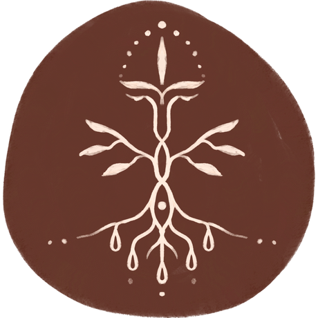 Cacaos Equateur