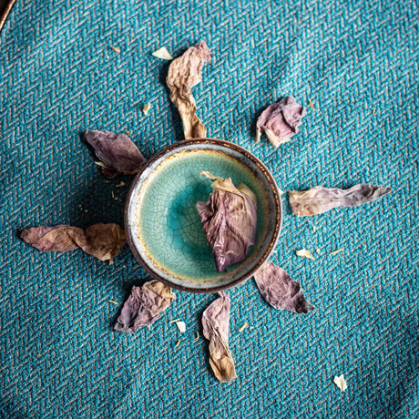 ✧ Pétale de Fleur de Lotus Rose