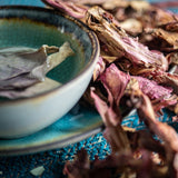 ✧ Pétale de Fleur de Lotus Rouge