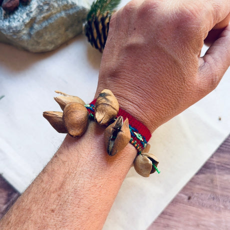 Shaker ♡ Graines d'Amazonie