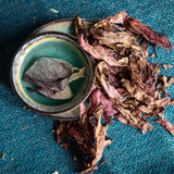 ✧ Pétale de Fleur de Lotus Rouge