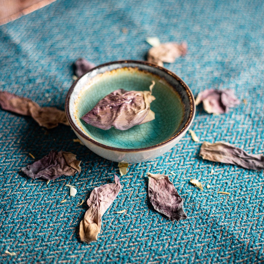 ✧ Pétale de Fleur de Lotus Rose