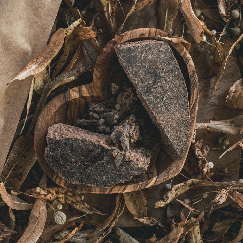 Criollo ◉ Ambanja Madagascar