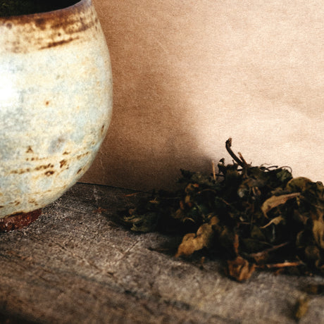 ✧ Tulsi